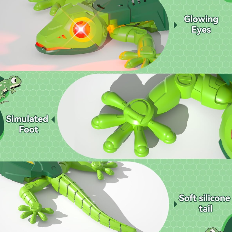Gecko Wall-climbing lizard - For Children and Seniors