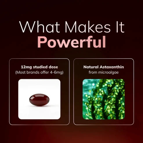 Ocean Astaxanthin - 12mg Softgels